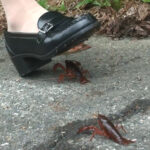 『フェチ』 めいちゃんの制服ローファーでザリガニCRUSH 2 最終章 「DUGA」