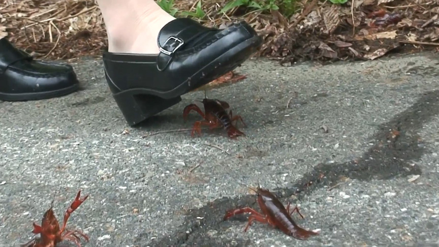 『フェチ』 めいちゃんの制服ローファーでザリガニCRUSH 2 最終章...