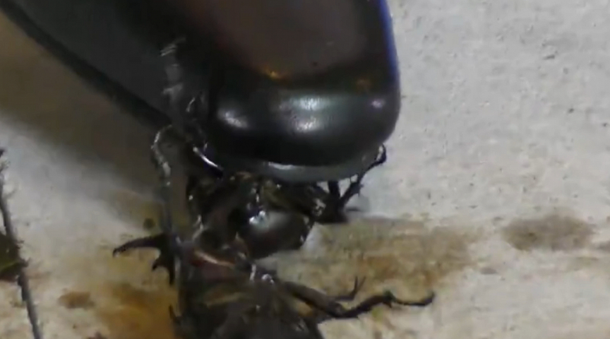 『フェチ』 復刻版めいの私服パンプスでカブトム○クラッシュ VOL5 ...