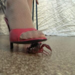 『フェチ』 CRUSH and PRESS2 「DUGA」