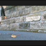 『フェチ』 お嬢様がトンボとカタツムリを踏みにじって歩き去る！ 「DUGA」