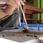 『フェチ』 アイドル級美少女のコスプレ黒パンプスで兜CRUSH VOL7 「DUGA」