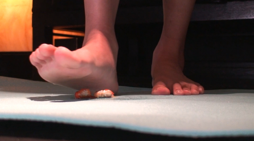 『フェチ』 アイドル級美少女の裸足で○魚CRUSH VOL1 「DUG...