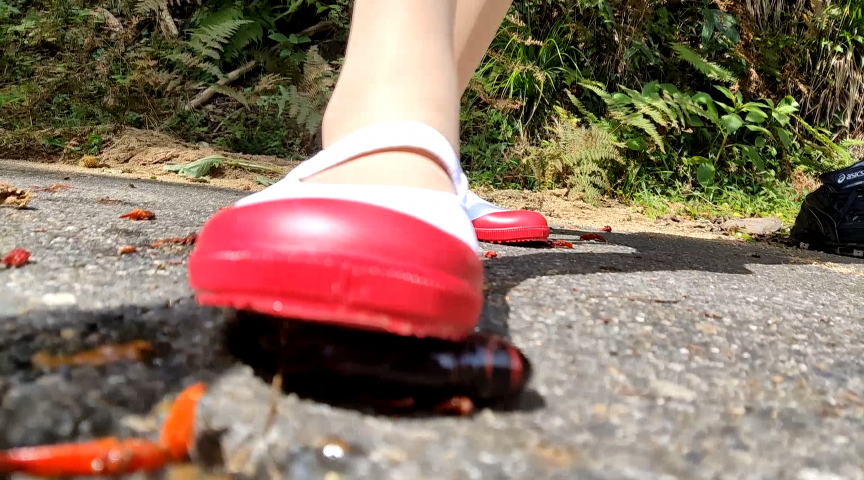 『フェチ』 めいちゃんのコスプレ、上履きでザリガニCRUSH 最終章 ...