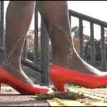 『フェチ』 OLさんの脚線美の下で踏み潰されるヒキガエル！ 「DUGA」