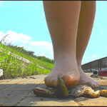 『フェチ』 土で汚れたストッキング＆ナマ足でヒキガエルを踏み潰す 「DUGA」