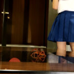 『フェチ』 めいちゃんのローファー、ガラステーブルでザリCRUSHー3 「DUGA」