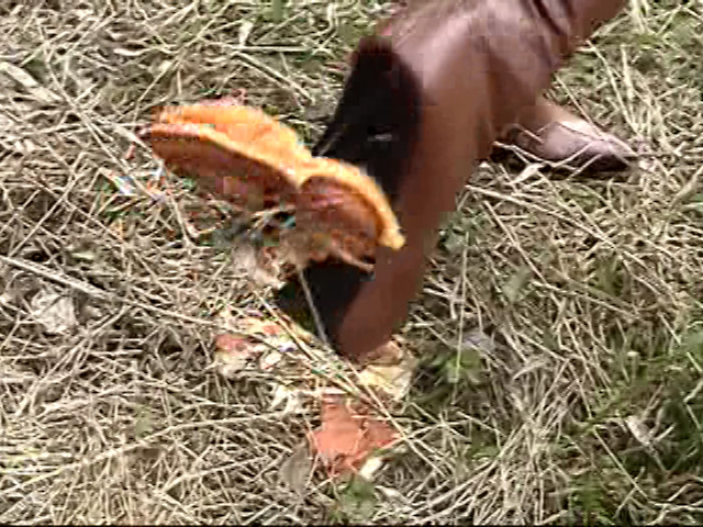 『フェチ』 食べ物踏み潰しSP 「DUGA」