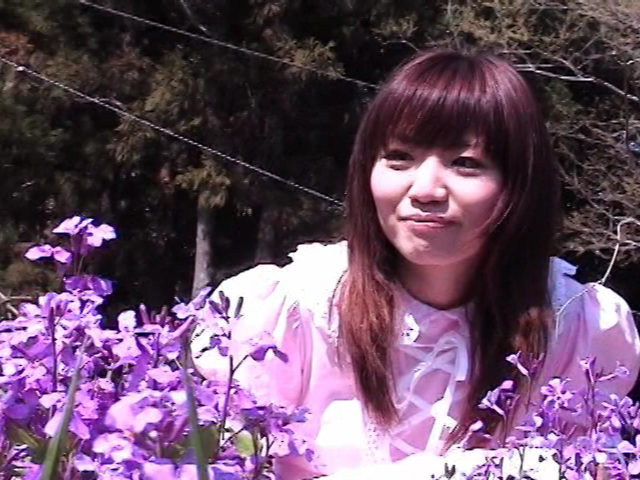 『フェチ』 サクラ、咲く道 「DUGA」