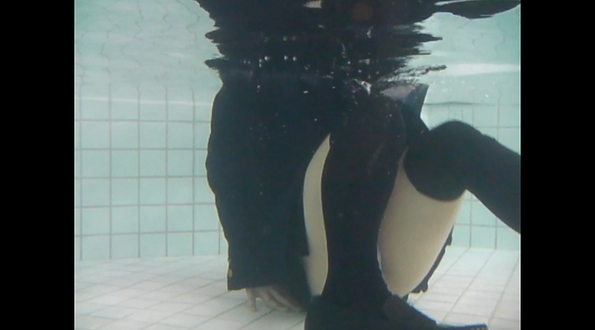 『フェチ』 大好きなプールに癒されて 「DUGA」