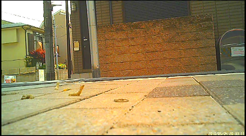 『フェチ』 女子大生のサンダルやスニーカーがイモムシを踏み潰す！ 「D...