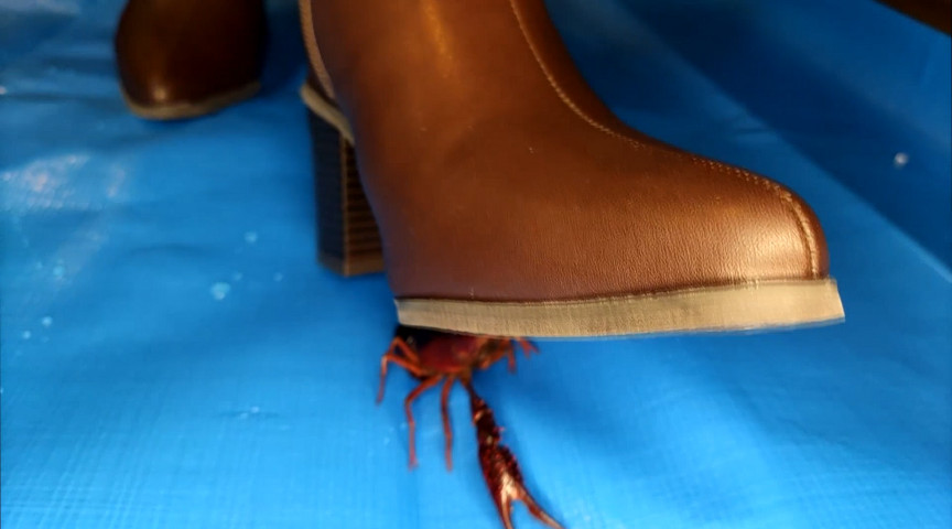 『フェチ』 みくちゃんのショートブーツでザリガニクラッシュ4 「DUG...