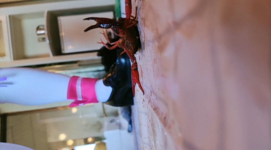 『フェチ』 みくちゃんの馬○、ローファーでザリガニクラッシュ 1 「D...