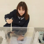 『フェチ』 子豚顔のぽっちゃり女子の残虐イモリクラッシュ 「DUGA」