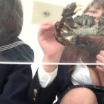 『フェチ』 固いカニをローファーでバリバリにする仲良し2人組 「DUGA」