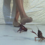 『フェチ』 CRUSH and PRESS3 「DUGA」