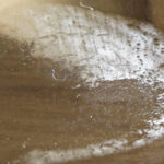 『フェチ』 【足のにおい】レストラン・筋肉足 「DUGA」