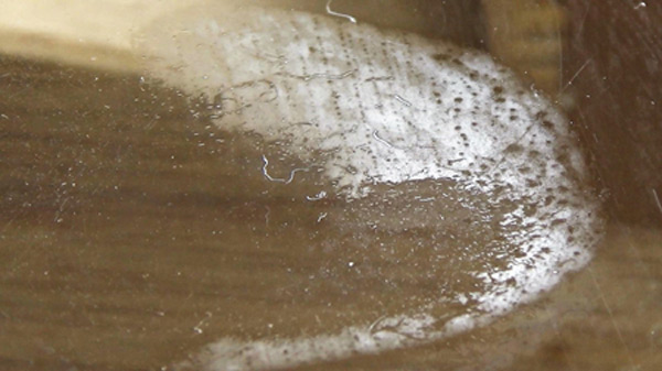 『フェチ』 【足のにおい】レストラン・筋肉足 「DUGA」