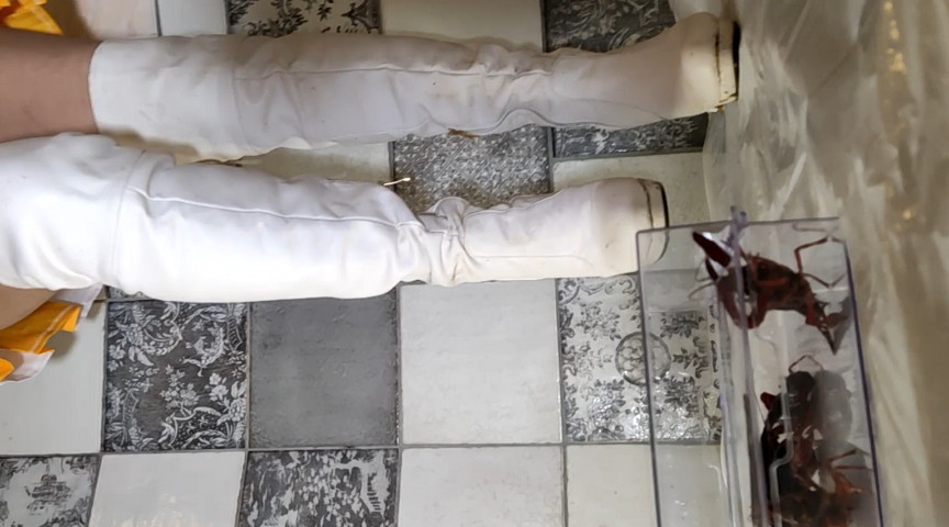 『フェチ』 あみちゃんのカラーガード隊でザリガニ駆除白ブーツ編 「DU...