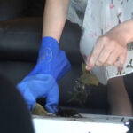 『フェチ』 アイドル級美少女のカブトCRUSHピンクのハイヒール編2 「DUGA」