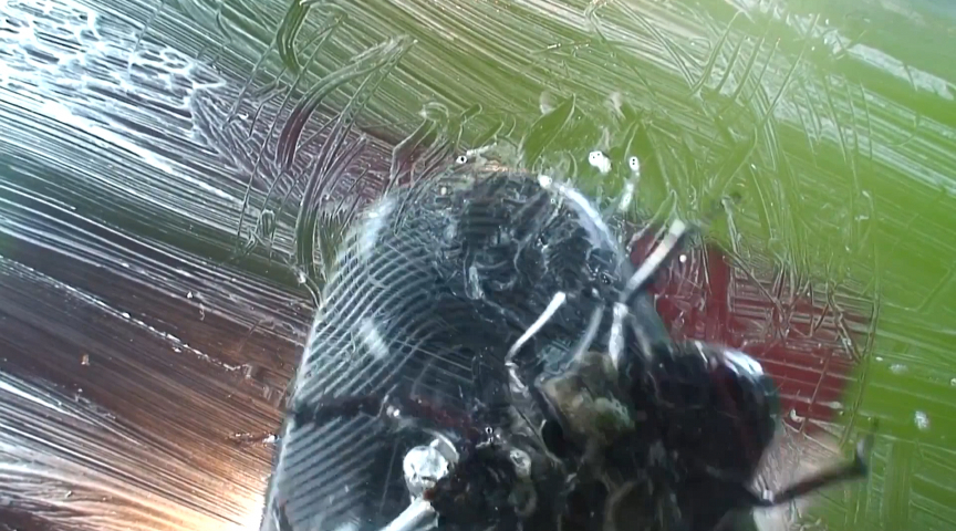 『フェチ』 ガラステーブル、パンプスでカブト○○クラッシュ VOL3 ...