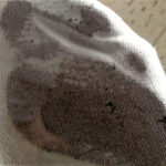 『フェチ』 【足のにおい】  主婦・学校の下駄箱 「DUGA」