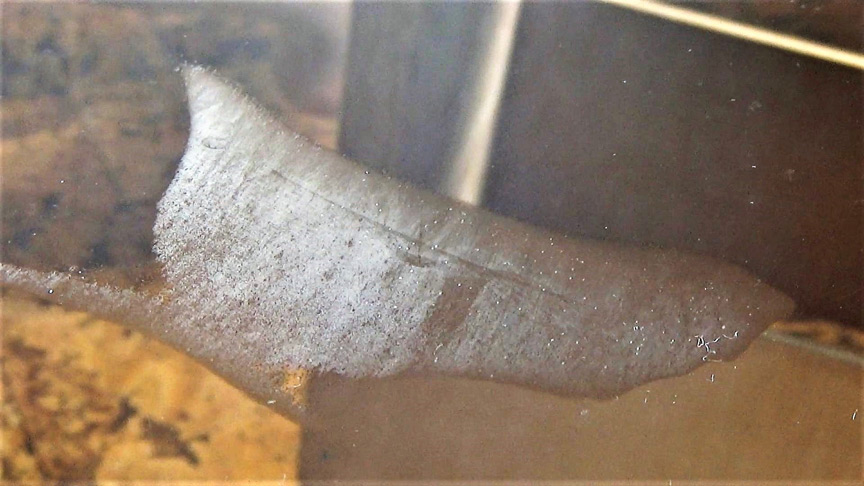 『フェチ』 【足のにおい】銀座ホステス・出汁ブーツ 「DUGA」