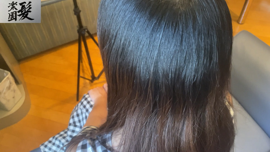 『フェチ』 髪楽園No.5茶黒ロング前編 「DUGA」