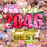 《ギャル》 最高にトガッてて最高に優しくて最高にエロい！年中発情期ギャル＆ヤンキー ノーカットBEST 厳選14タイトル2046分！ 『FANZA』