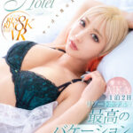 《ギャル》 【VR】愛するAIKAとリゾートホテルで1泊2日最高のバケーション体験VR 8K高画質SPECIAL！！ 『FANZA』