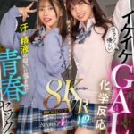 《ギャル》 【VR】オタクに優しいイケイケGALとまさかの化学反応…汗と精液の匂いに包まれた青春セックス劇 石原希望 葵いぶき 『FANZA』