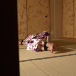 《ギャル》 囚われてしまったグラビアアイドル 2 梅澤かんな 『FANZA』