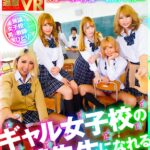 《ギャル》 【VR】ギャル女子校の友達先生になれる VR 『FANZA』