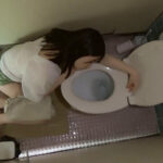 《ギャル》 女性トイレに突っ伏していた色白ギャル系女性に忍び寄る魔の手！隠し撮りされた行為！ 『FANZA』