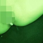 《ギャル》 ［閲覧注意］完全ガチンコ騙しド貧乳ギャル薬姦輪●中出し堕ち映像 奇跡のリマスター復刻版 『FANZA』