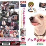 《ギャル》 パンチラ犬が行く！ 『FANZA』