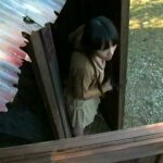 ＜熟女＞ 必ずやあなたの心に残る傑作AV たまには食ってみよう 禁断の木の実 【FANZA】