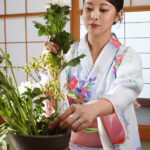 ＜熟女＞ 女将・潤うるるが絶倫親父を満足させるまでイカせ続ける濃厚ベロキスおもてなしSEX 「お客様からの評価（5.00）の最高級淫乱旅館『清潤荘』へようこそー。」 【FANZA】