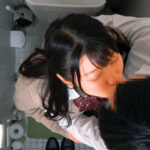 ＜盗撮＞ 女子○生トイレSEX盗撮 300分12人BEST 『FANZA』