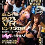 ＜盗撮＞ 【VR】SCOOPVR1周年記念特別企画、長尺VR！超リアルピンサロ体験！都内No.1のピンサロ店に完全潜入！ハイクオリティな嬢とサービスを贅沢体験！更に激カワ新人嬢から予約必須の超人気嬢まで生本番行為は可能なのか徹底検証！！ピンサロ店店長体験の特典付き！ 『FANZA』