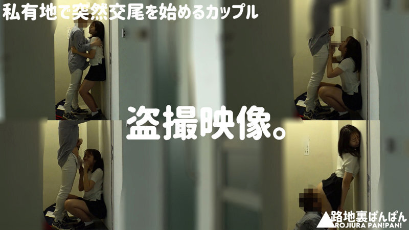 ＜盗撮＞ 【流出映像】変態カップル 公然SEX盗撮 250分 屋外変態...