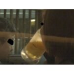 ＜盗撮＞ 盗撮泥●女レ●プ 『FANZA』