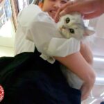 ＜盗撮＞ 黙ってAV出しちゃいました！ 04 『FANZA』