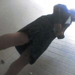 ＜盗撮＞ 盗撮女子便所 彼女たちのあんな姿やこんな姿全部見せます 4時間 『FANZA』