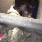 ＜盗撮＞ ［個人投稿］［極秘買取］本物女子○生を公園のトイレで強●する一部始終を撮影した映像を入手発売！ 『FANZA』