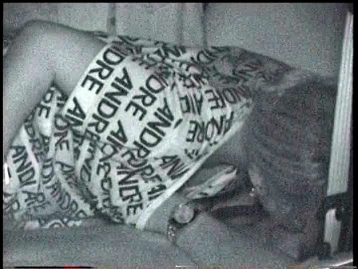 ＜盗撮＞ 「赤外線盗撮シリーズ」Vol.29 CAR SEX 『FAN...