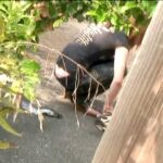 ＜盗撮＞ 野外で糞尿する娘たち 『FANZA』