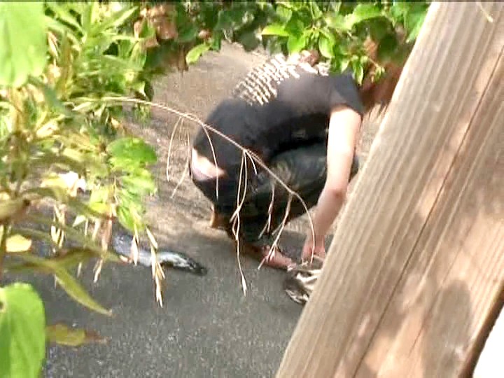 ＜盗撮＞ 野外で糞尿する娘たち 『FANZA』