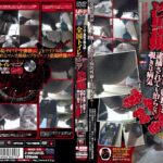 ＜盗撮＞ マニア素材の集大成！ 全国トイレマニア盗撮 『FANZA』