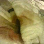 ＜盗撮＞ 汚物収集家 1 『FANZA』